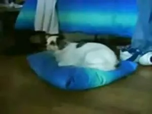 Per video porno di d ...